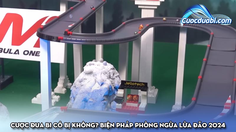 Cược đua bi có bị không? Biện pháp phòng ngừa lừa đão 2024