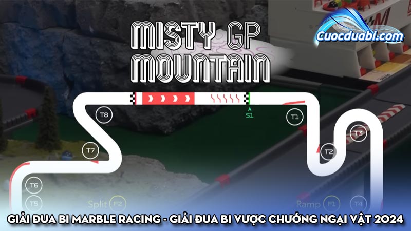 Giải đua bi Marble Racing - Giải đua bi vược chướng ngại vật 2024