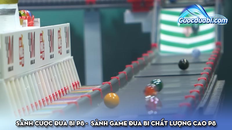 Sảnh cược đua bi P8 - Sảnh game đua bi chất lượng cao P8