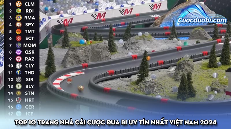 Top 10 trang nhà cái cược đua bi uy tín nhất Việt Nam 2024